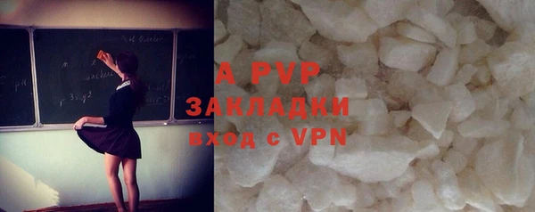 стаф Ижевск