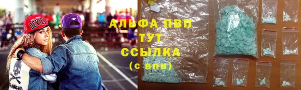 прущие грибы Лагань
