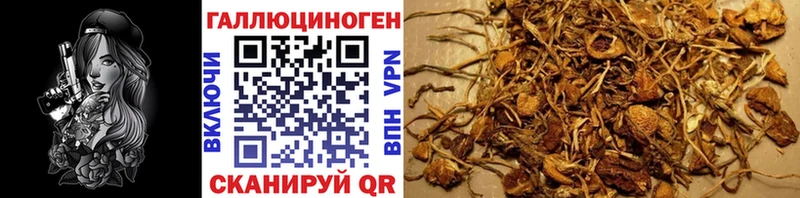 Галлюциногенные грибы мухоморы  Купить где  Льгов 